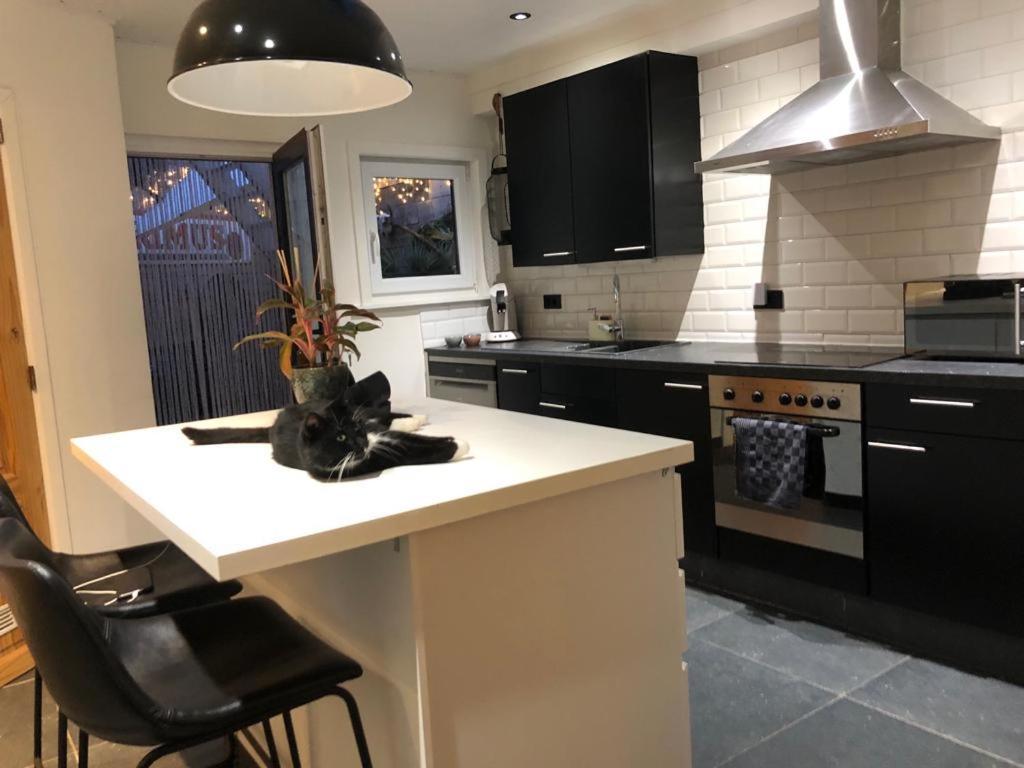Studio Dream On Met Zonnige Terras Apartment Oostende Exterior foto